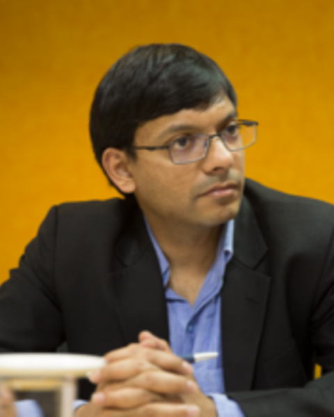 Anant Sudarshan photo